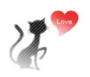 black kitty
