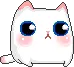 kitty