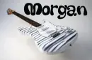 zebra morgan