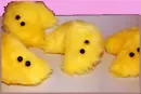 fortune cookies