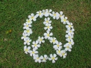 peace