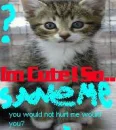 Save DA Aminals