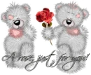 Bears!