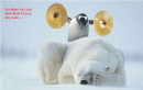 cool penguins