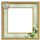 frame with diamond and leaf