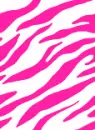 !!!!!ZEBRA STRIPES!!!!!