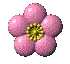 pink flower