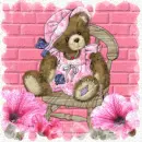 Miss Teddy