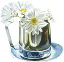 Cup-of-Daisy