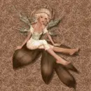 Fairy