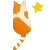 KITTY WITH STAR
