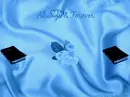 ALWAYS FOREVER BIBLE ROSE BLUE