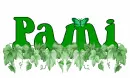 Pami