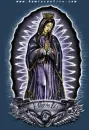 BLUE GUADALUPE