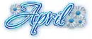April Blue Blossom (white b/g)