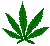 weed