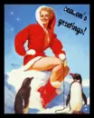 seasons greetings