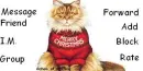 Christmas Cat