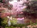 RAINBOW BRIDGE-PINK WITH BIRD