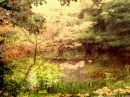 RAINBOW BRIDGE-AMBER GLOW