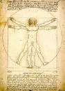 Homem de Vitruvio (pt) Leonardo da Vinci