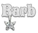 barb 