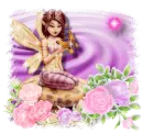 ToadStool Fairy