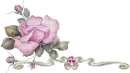 Rainbow Rose Jewel