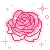 Pink Rose