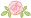Pink Rose