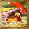The Fox and the Hound