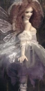 fairy