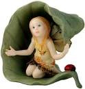 fairy
