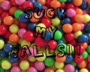 Suck My Balls