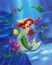 under the sea