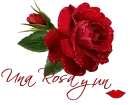 rosa