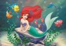 Ariel