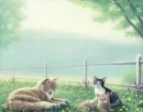 Cats In the grass