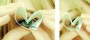 Green Eye