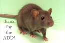 ratty