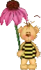 bee bear