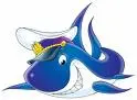 Whale