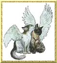 angel cats