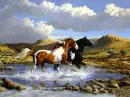 horse
