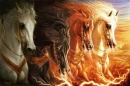 horse
