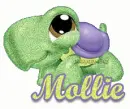 lil pet shop mollie