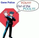 Police officer ordering someone out of the gene pool
