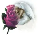 Angel on Rose