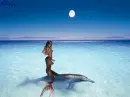 Dolphin Ride