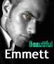 Emmett Cullen